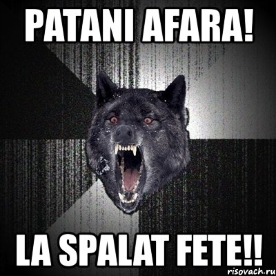 patani afara! la spalat fete!!, Мем Сумасшедший волк