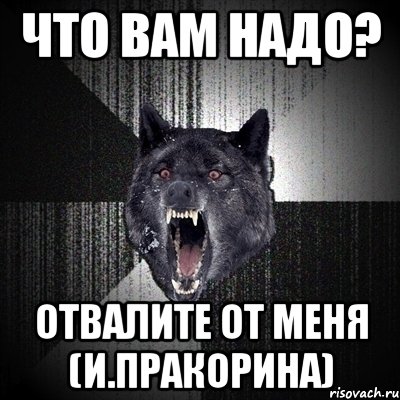 что вам надо? отвалите от меня (и.пракорина), Мем Сумасшедший волк