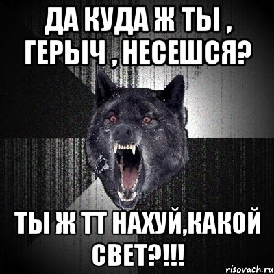 да куда ж ты , герыч , несешся? ты ж тт нахуй,какой свет?!!!, Мем Сумасшедший волк