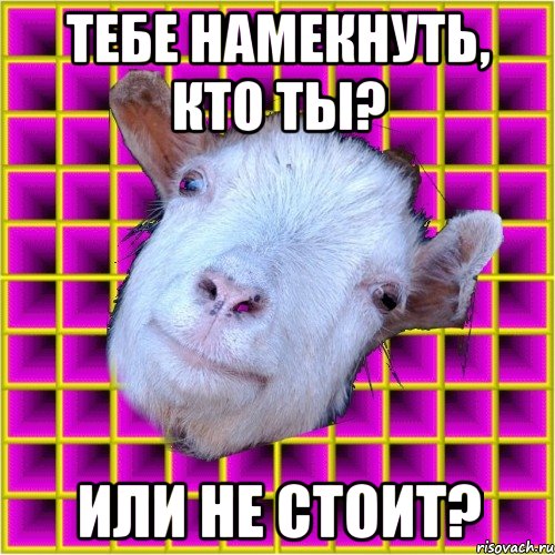 тебе намекнуть, кто ты? или не стоит?, Мем типичная коза