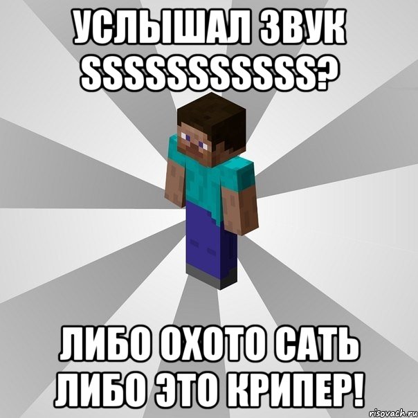 услышал звук sssssssssss? либо охото сать либо это крипер!, Мем Типичный игрок Minecraft