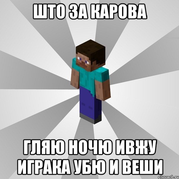 што за карова гляю ночю ивжу играка убю и веши, Мем Типичный игрок Minecraft