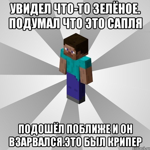 увидел что-то зелёное. подумал что это сапля подошёл поближе и он взарвался.это был крипер