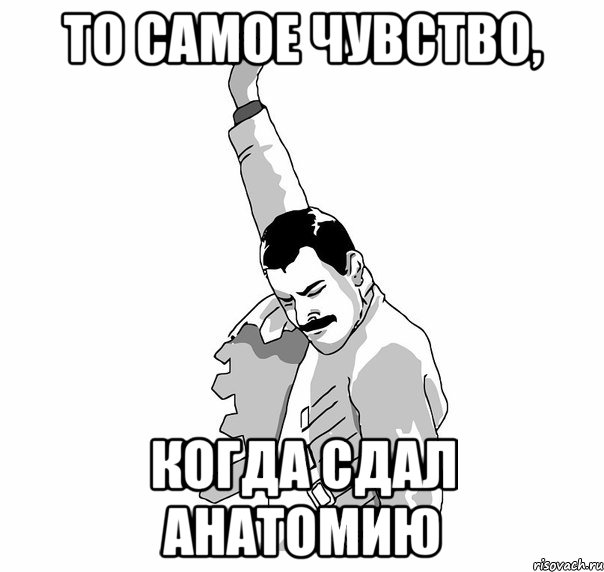 то самое чувство, когда сдал анатомию, Мем   Фрэдди Меркьюри (успех)