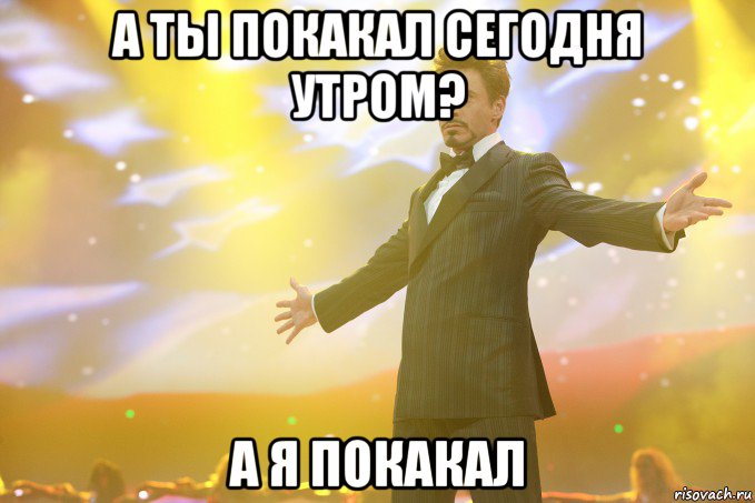 а ты покакал сегодня утром? а я покакал, Мем Тони Старк (Роберт Дауни младший)