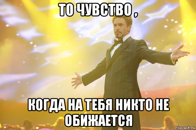 то чувство , когда на тебя никто не обижается, Мем Тони Старк (Роберт Дауни младший)