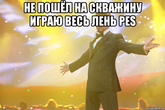 не пошёл на скважину играю весь лень pes , Мем Тони Старк (Роберт Дауни младший)