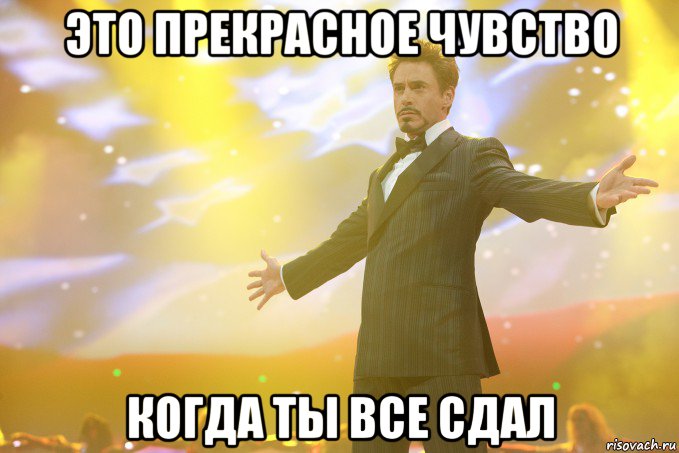 это прекрасное чувство когда ты все сдал, Мем Тони Старк (Роберт Дауни младший)