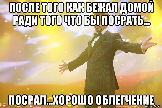 после того как бежал домой ради того что бы посрать... посрал...хорошо облегчение, Мем Тони Старк (Роберт Дауни младший)