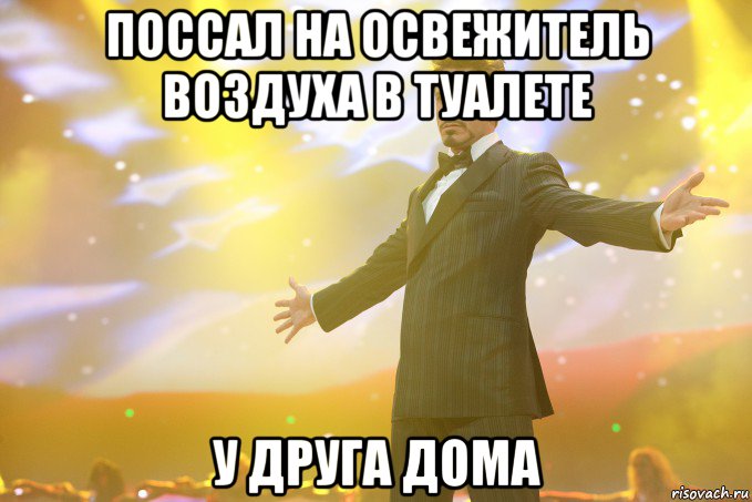 поссал на освежитель воздуха в туалете у друга дома, Мем Тони Старк (Роберт Дауни младший)