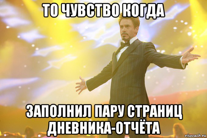 то чувство когда заполнил пару страниц дневника-отчёта, Мем Тони Старк (Роберт Дауни младший)