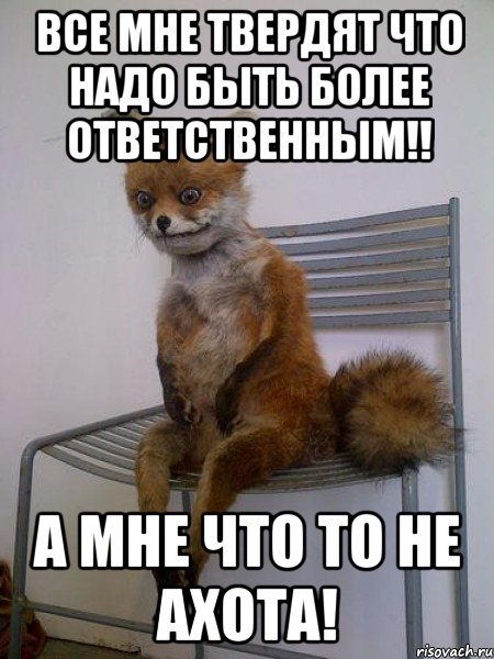 все мне твердят что надо быть более ответственным!! а мне что то не ахота!, Мем Упоротая лиса