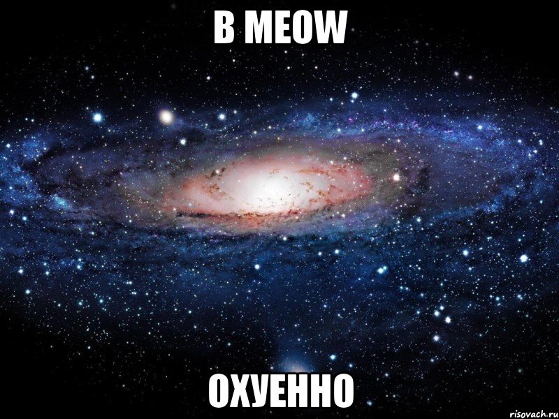 в meow охуенно, Мем Вселенная