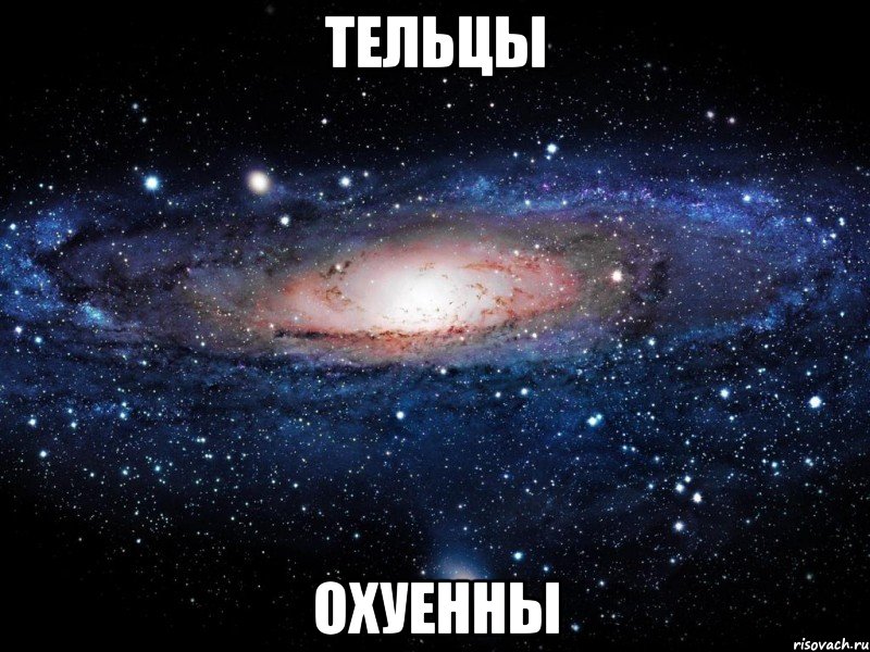 тельцы охуенны, Мем Вселенная