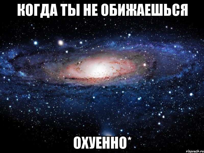 когда ты не обижаешься охуенно*, Мем Вселенная