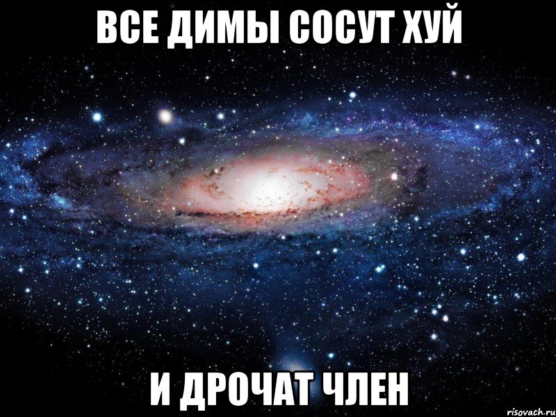 все димы сосут хуй и дрочат член