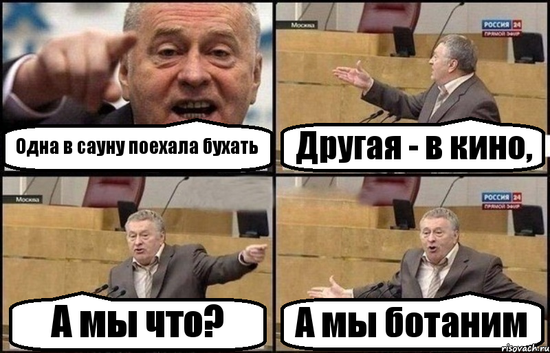 Одна в сауну поехала бухать Другая - в кино, А мы что? А мы ботаним, Комикс Жириновский