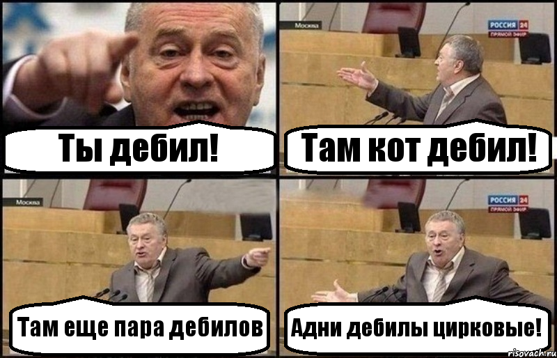 Ты дебил! Там кот дебил! Там еще пара дебилов Адни дебилы цирковые!, Комикс Жириновский