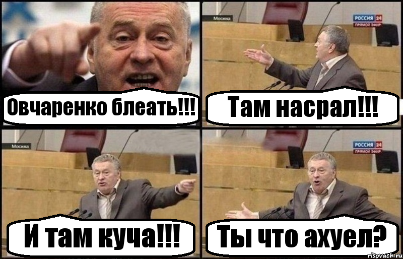 Овчаренко блеать!!! Там насрал!!! И там куча!!! Ты что ахуел?, Комикс Жириновский