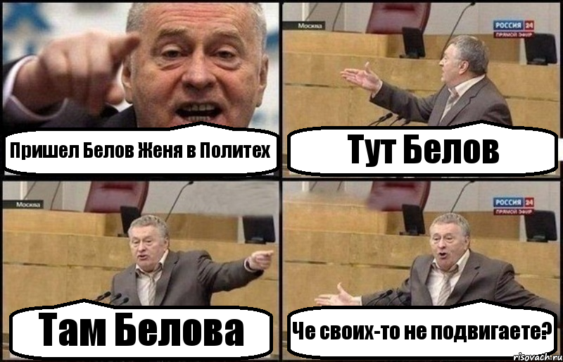 Пришел Белов Женя в Политех Тут Белов Там Белова Че своих-то не подвигаете?, Комикс Жириновский