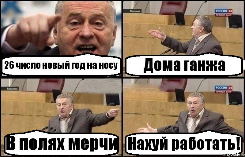 26 число новый год на носу Дома ганжа В полях мерчи Нахуй работать!, Комикс Жириновский