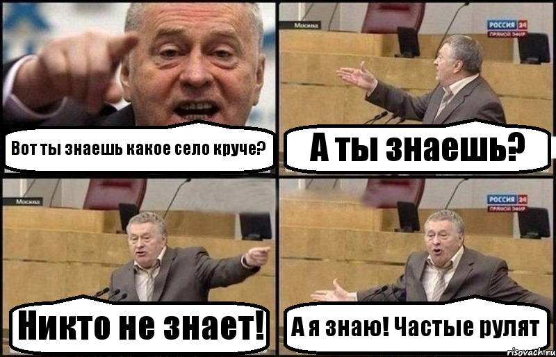 Вот ты знаешь какое село круче? А ты знаешь? Никто не знает! А я знаю! Частые рулят, Комикс Жириновский