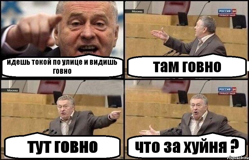 идешь токой по улице и видишь говно там говно тут говно что за хуйня ?, Комикс Жириновский