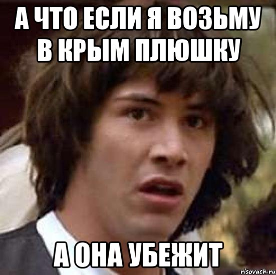 а что если я возьму в крым плюшку а она убежит, Мем А что если (Киану Ривз)