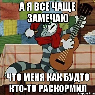 а я все чаще замечаю что меня как будто кто-то раскормил, Мем Кот Матроскин с гитарой