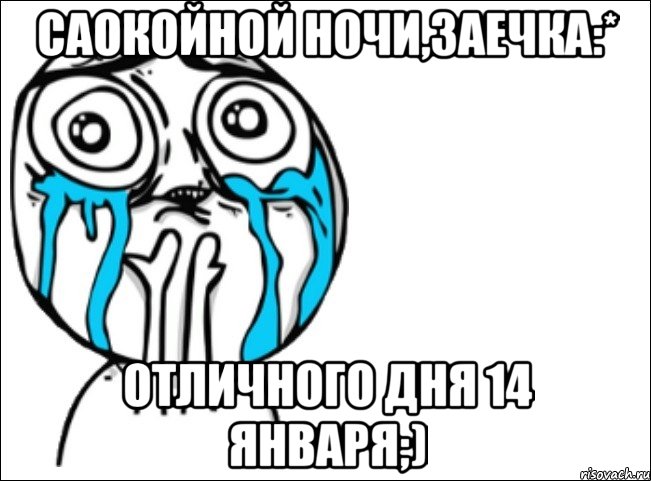 саокойной ночи,заечка:* отличного дня 14 января;), Мем Это самый