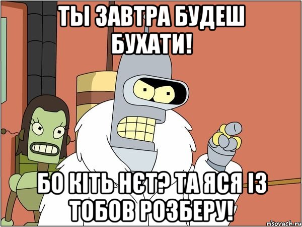 ты завтра будеш бухати! бо кіть нєт? та яся із тобов розберу!, Мем Бендер