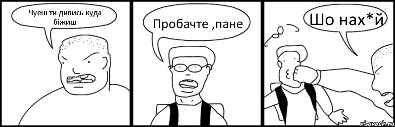 Чуеш ти дивись куда біжиш Пробачте ,пане Шо нах*й, Комикс Быдло и школьник