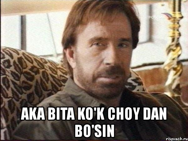  аka bita ko'k choy dan bo'sin, Мем чак норрис