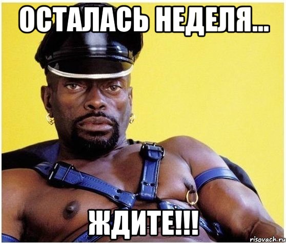 осталась неделя... ждите!!!, Мем Черный властелин