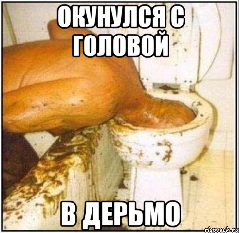 окунулся с головой в дерьмо