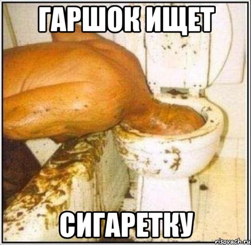 гаршок ищет сигаретку