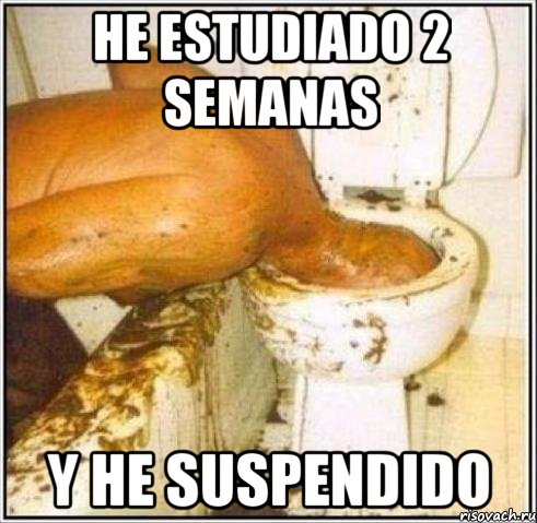 he estudiado 2 semanas y he suspendido, Мем Дайвер