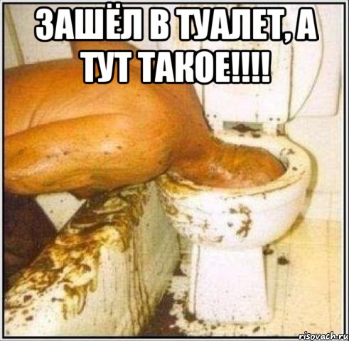 зашёл в туалет, а тут такое!!! , Мем Дайвер