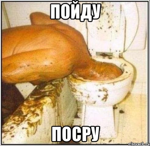 пойду посру