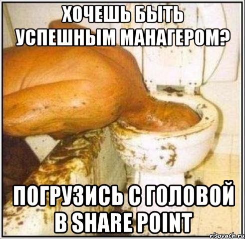 хочешь быть успешным манагером? погрузись с головой в share point, Мем Дайвер