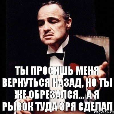 Ты просишь меня вернуться назад, но ты же обрезался... А я рывок туда зря сделал, Комикс Дон Вито Корлеоне 1