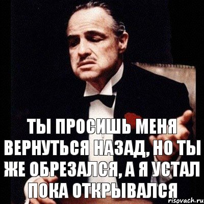 Ты просишь меня вернуться назад, но ты же обрезался, а я устал пока открывался, Комикс Дон Вито Корлеоне 1