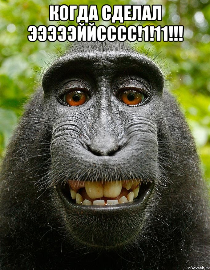 когда сделал эээээййсссс!1!11!!! , Мем  Довольная обезьяна