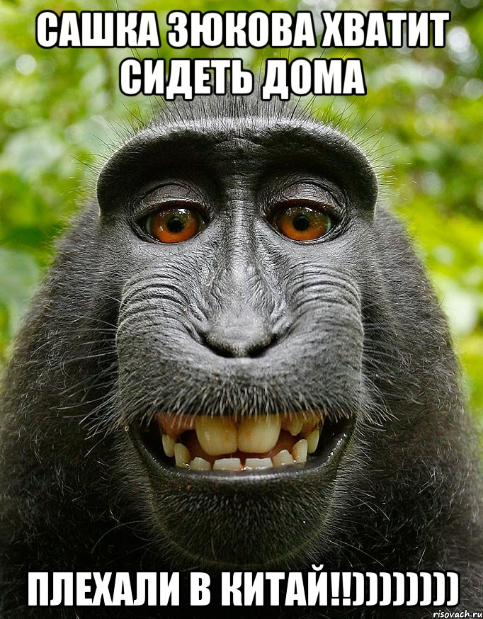 сашка зюкова хватит сидеть дома плехали в китай!!))))))))