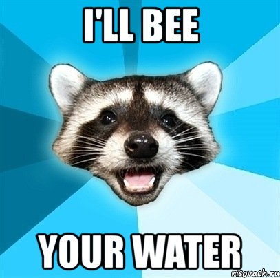 i'll bee your water, Мем Енот-Каламбурист