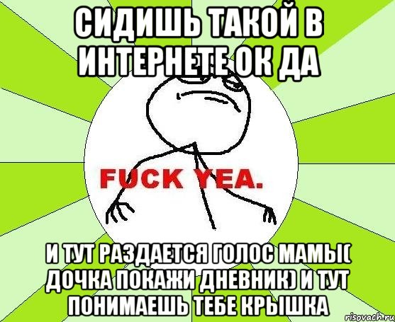 сидишь такой в интернете ок да и тут раздается голос мамы( дочка покажи дневник) и тут понимаешь тебе крышка, Мем фак е