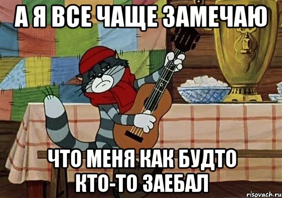 а я все чаще замечаю что меня как будто кто-то заебал, Мем Грустный Матроскин с гитарой