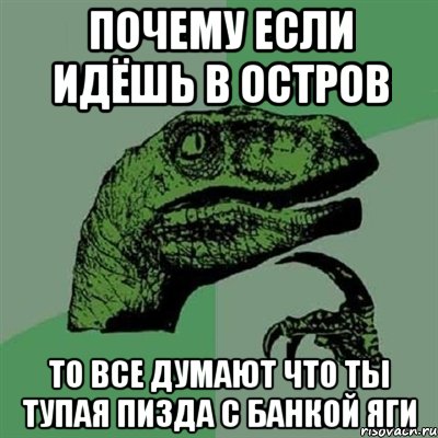 почему если идёшь в остров то все думают что ты тупая пизда с банкой яги, Мем Филосораптор