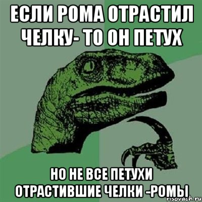 если рома отрастил челку- то он петух но не все петухи отрастившие челки -ромы, Мем Филосораптор