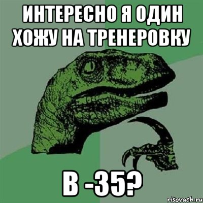 интересно я один хожу на тренеровку в -35?, Мем Филосораптор